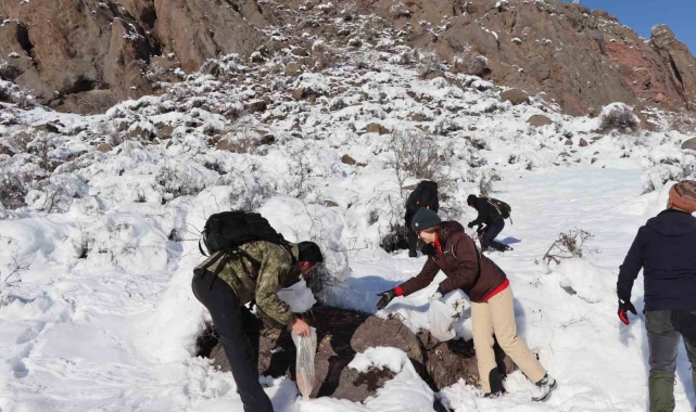 Erzurum'da doğaseverler soğuk havalarda keklikleri unutmadı