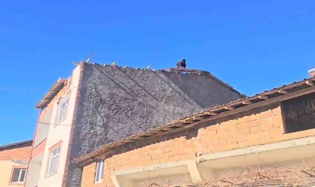 Fırtına Adıyaman'da çatıları uçurdu, ağaçları söktü