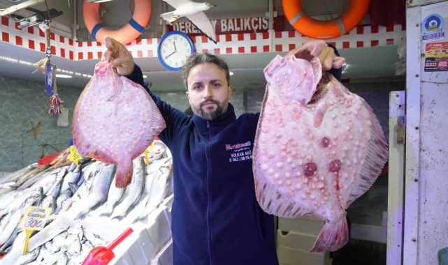 Fiyatı altınla yarışan balık: Kalkanın kilosu bin 200 TL