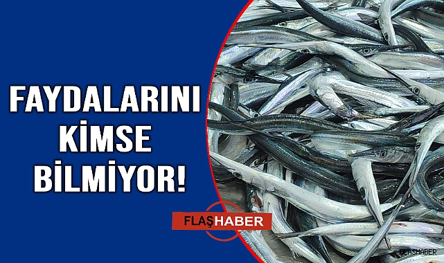 Fosfor kaynağı zargana tezgahları süslüyor