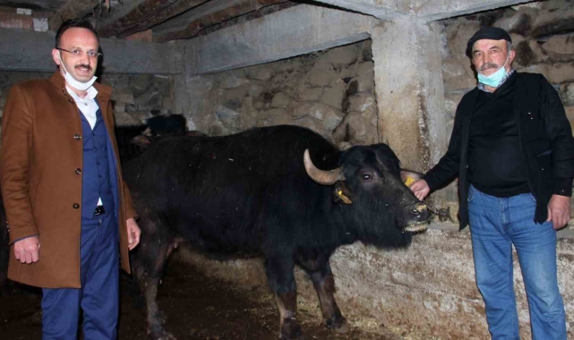 Giresun'da 289 manda işletmesine 8 milyon 422 bin 600 TL destek ödemesi yapıldı