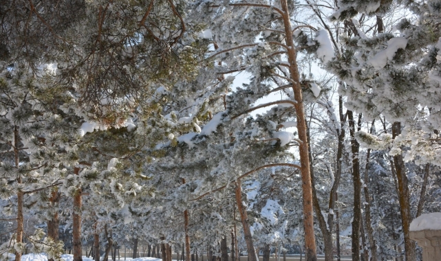 Gündüz yaz gece kış