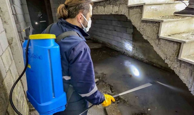 Haşerelere karşı kapsamlı kışlak çalışması başlatıldı