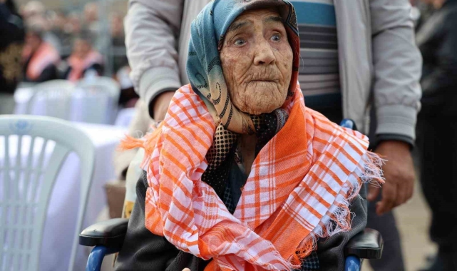 Hatice ninenin deve güreşi aşkı, engel tanımıyor