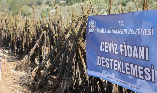 'Her Kapıda Bir Fidan Projesi' Menteşe'de başlıyor