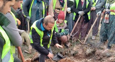 Hisarcık'ta 43 bin 300 fidan toprakla buluştu