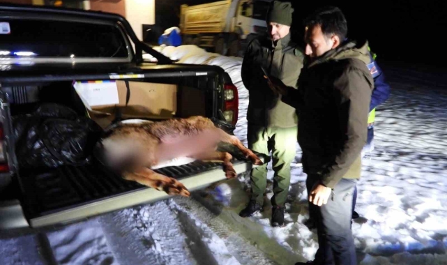 Kaçak avcılara rekor ceza