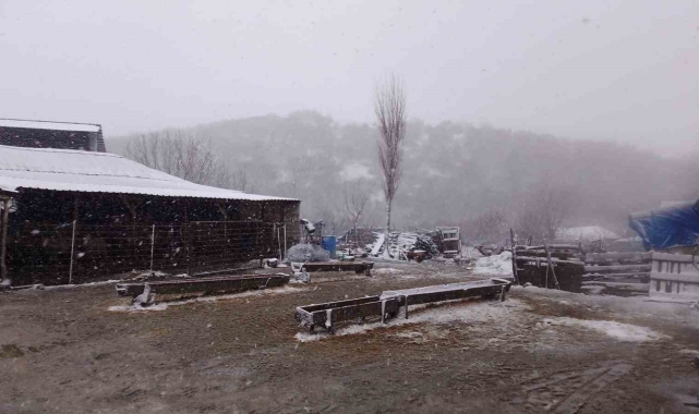 Kar, Balkanlar&#039;dan Edirne&#039;ye giriş yaptı: Sınır köyler beyaza büründü