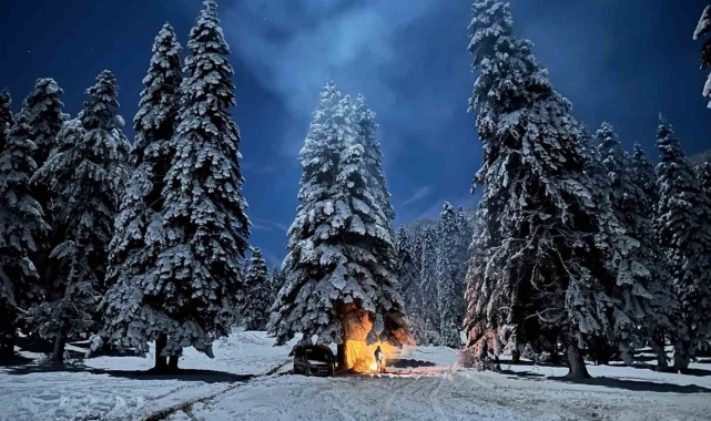 Karabük'te kamp yapan gençlere tilki sürprizi