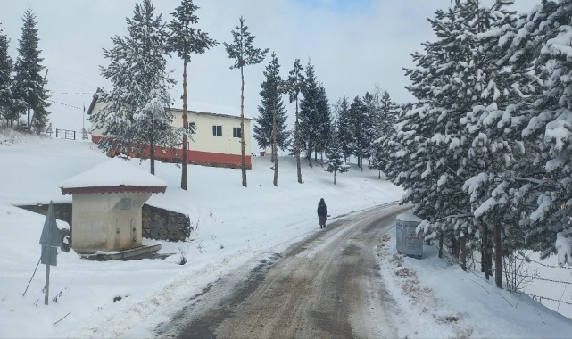Karadeniz'de kar hayatı olumsuz etkiledi