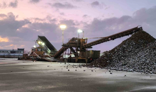 Kars Şeker Fabrikası'nda 175 ton pancar işlendi