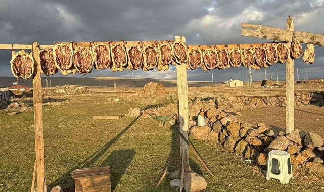 Kars'ta kazlar tellerde kurutuluyor