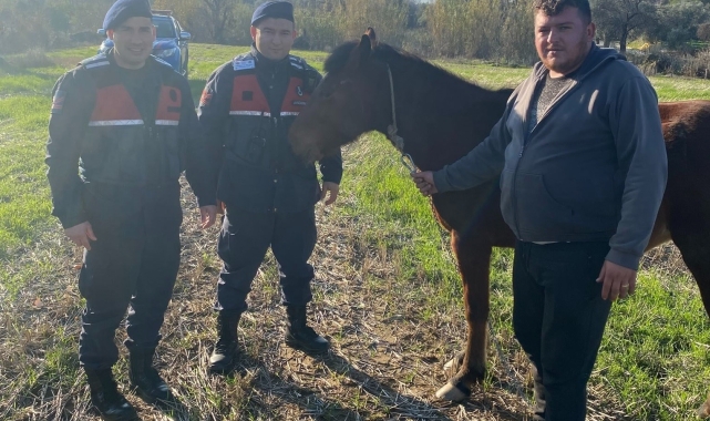 Kaybolan rahvan atı, jandarma ekiplerince bulundu