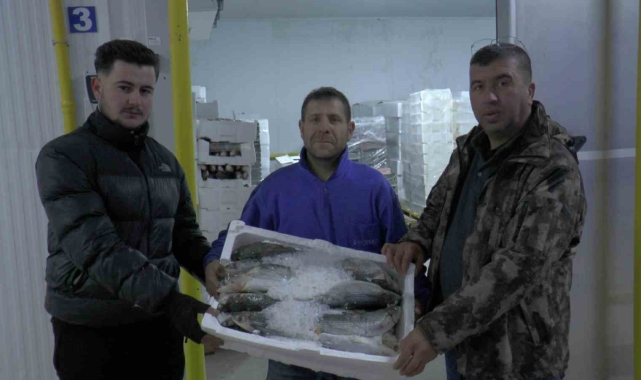 Kayseri'den 6 ülkeye 10 bin 500 ton balık ihracatı