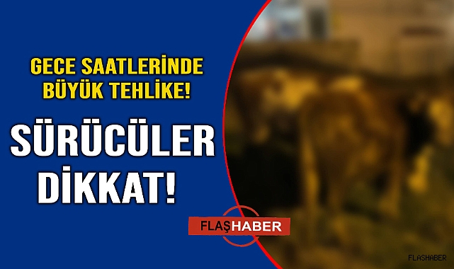 Kaza riski yüksek
