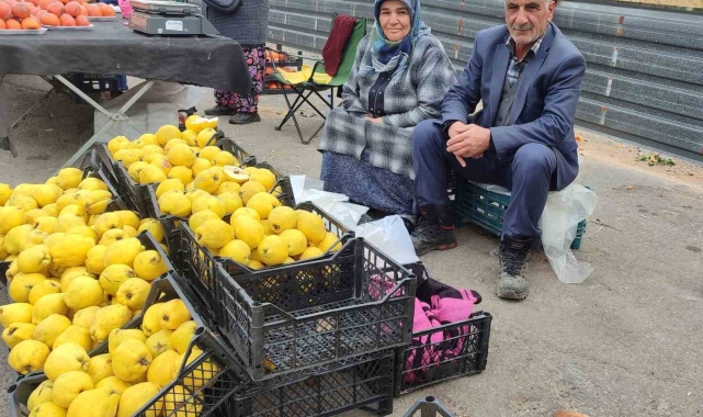 Kendi bahçesinde yetiştirdikleri ayvaları satarak 7 çocuk okuttular