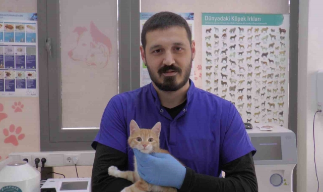 Kırsal bölgelerde yaşayan vatandaşlar 'kurt' uyarısı