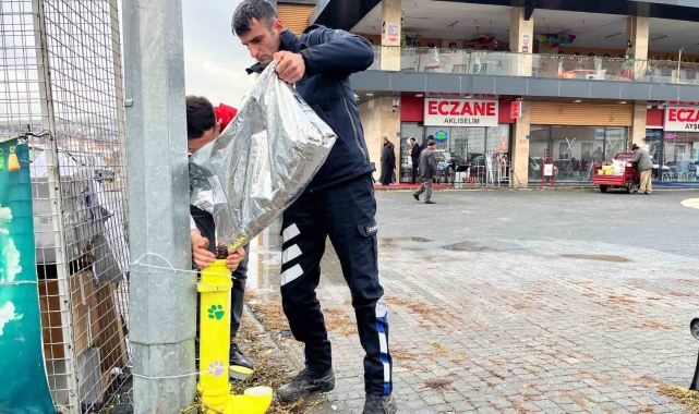 Kış günlerinde Bünyan'da sokak hayvanlarına umut eli