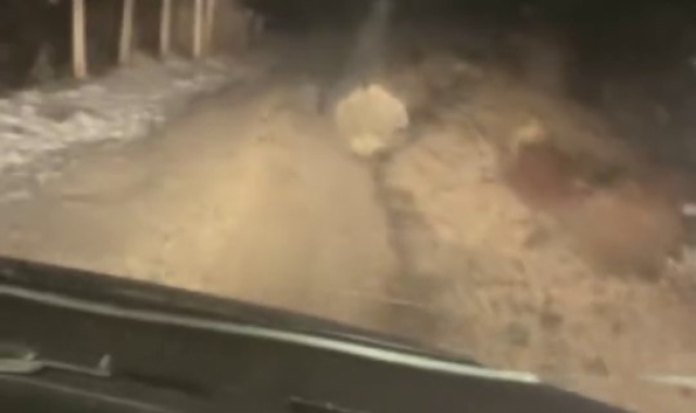 Koruma altındaki oklu kirpi Elazığ'da görüntülendi