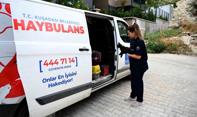 Kuşadası Belediyesi&#039;nin Haybulans araçları 2024&#039;te can dostlara umut oldu