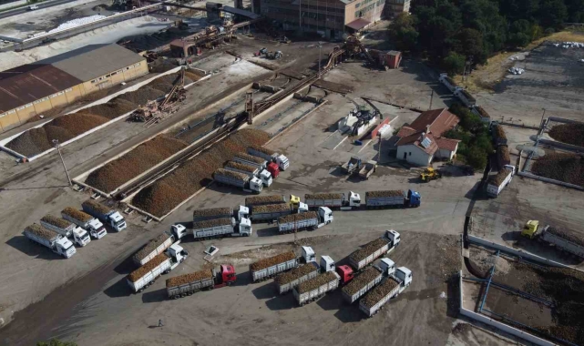 Malatya Şeker Fabrikası&#039;nda 470 bin ton pancar işlendi