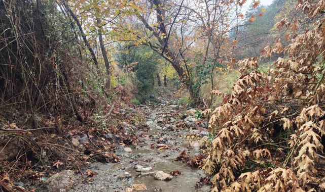 Mesir Tabiat Parkında eşsiz manzaralar