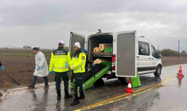 Milas'ta yol kenarında bulunan erkek cesedinin kimliği tespit edildi
