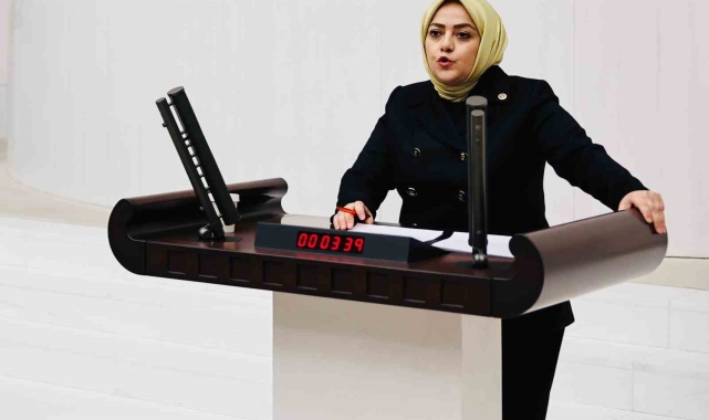 Milletvekili Ün, Pamukkale-Kocadere-Yeniköy projesini Meclis gündemine taşıdı