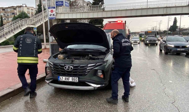 Motora saklanan kedi 13 kilometre yol gitti