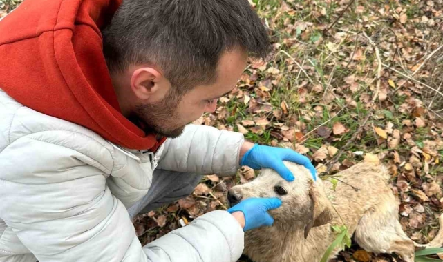 Nehre düşen köpek tekne yardımı ile kurtarıldı