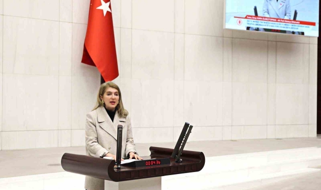 Ölmeztoprak bütçe görüşmelerinde konuştu