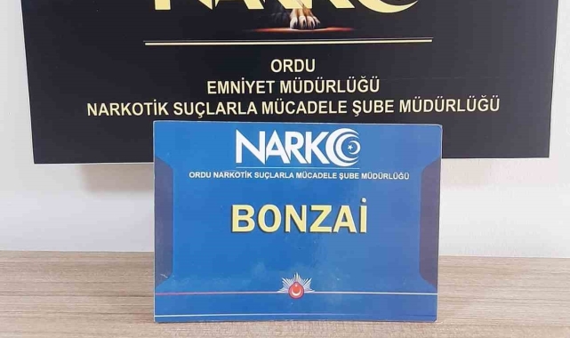 Ordu'da uyuşturucu operasyonlarında 1 tutuklama