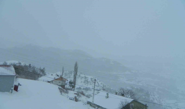 Posof'ta tipi etkili oluyor