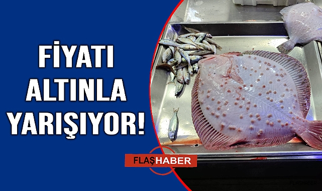 Rekor fiyata alıcı buldu