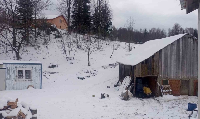 Sakarya'nın yüksek kesimleri beyaz gelinliğini giydi, kar kalınlığı 10 santimetreyi buldu