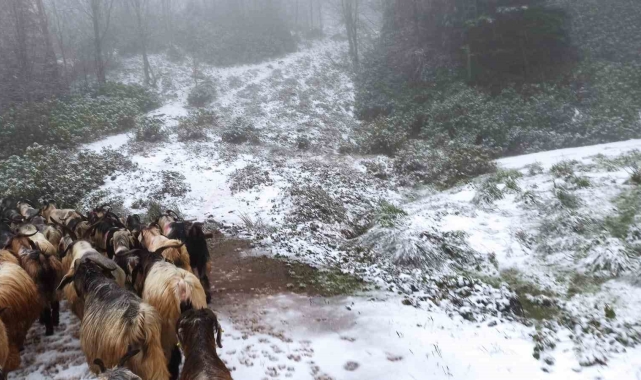 Sakarya'nın yüksek kesimlerinde kar yağışı