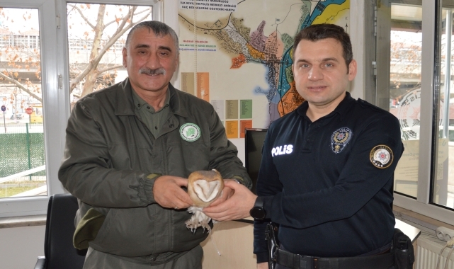 Samsun'da polislerin bulduğu yaralı baykuş tedaviye alındı