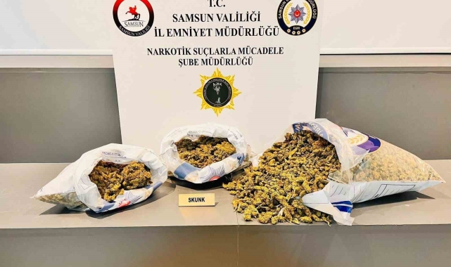 Samsun'da 5 kilo 700 gram skunk ele geçirildi: 4 gözaltı
