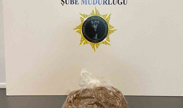 Samsun'da 575 gram bonzai ile yakalanan 2 kişi gözaltına alındı