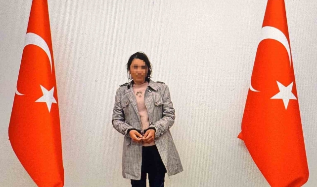 Şanlıurfa'da 1 terörist teslim oldu