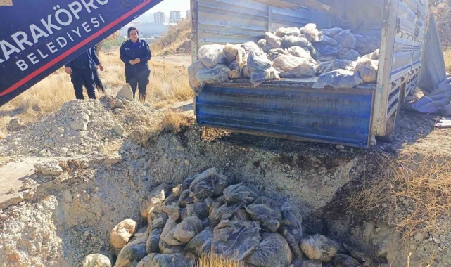 Şanlıurfa'da bozuk 4 ton sakatat imha edildi