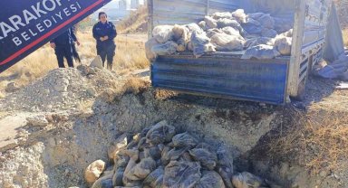 Şanlıurfa'da bozuk 4 ton sakatat imha edildi