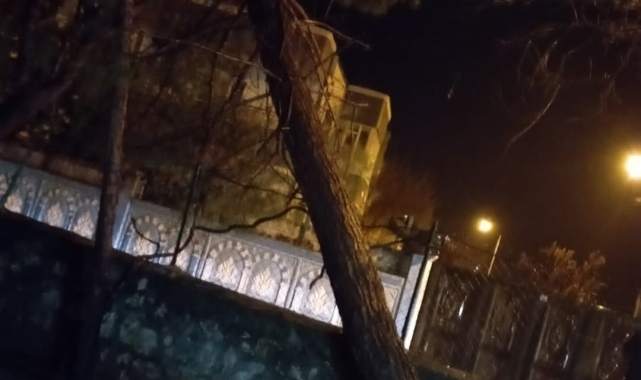 Siirt&#039;te şiddetli yağış ve fırtına hayatı olumsuz etkiledi