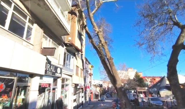 Simav'da anıt çınar binanın üzerine devrildi