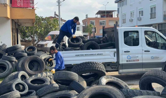 Sineklerin üreme alanı lastikler toplanıyor