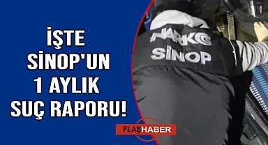 Sinop'un bir aylık asayiş raporu yayımlandı