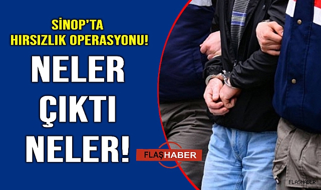 Sinop'ta hırsızlık operasyonu:3 gözaltı