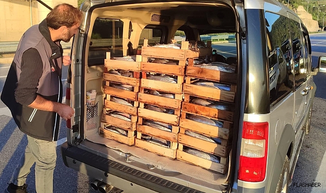 Sinop'ta kasım ayında farklı türlerdeki 50 ton su ürününe el konuldu