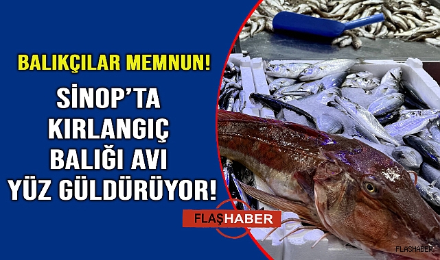 Sinop'ta Kırlangıç bereketi