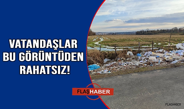 Sinop'ta pes dedirten duyarsızlık